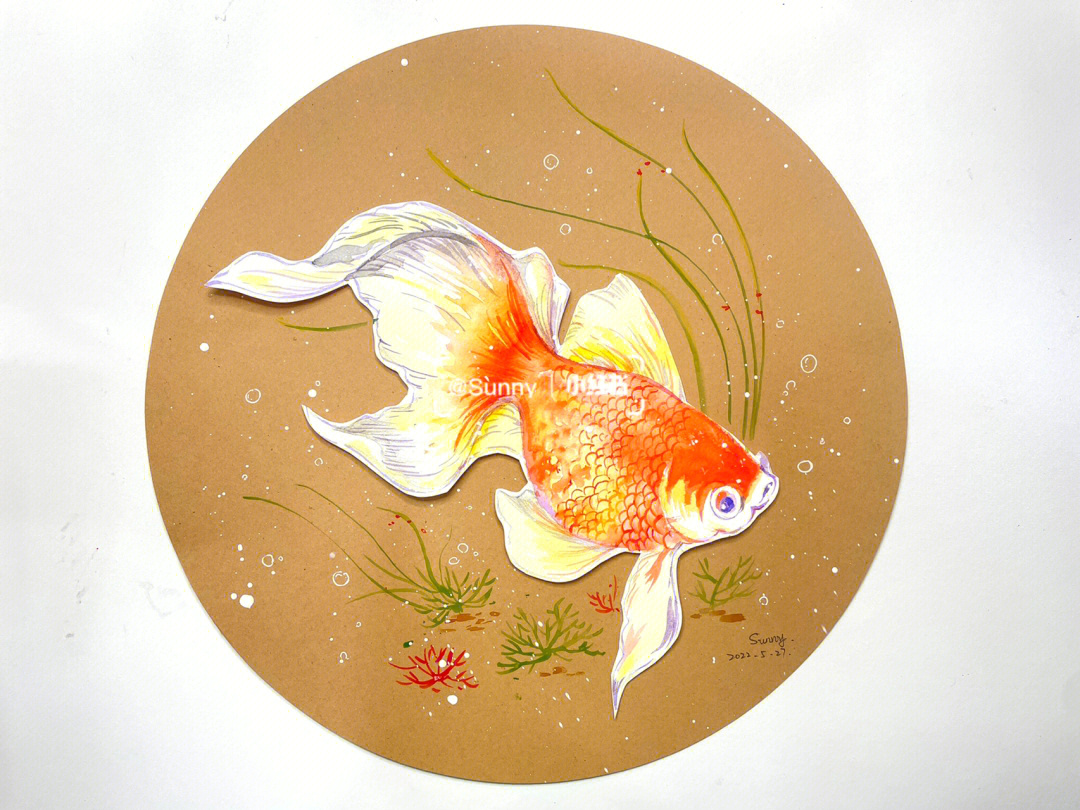 金鱼水彩画