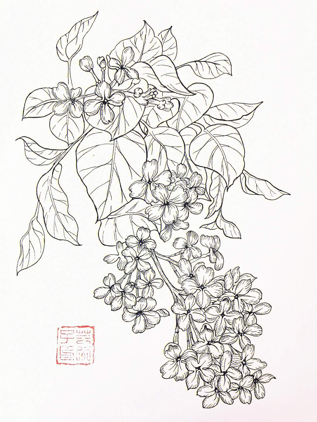 丁香花树手绘图片