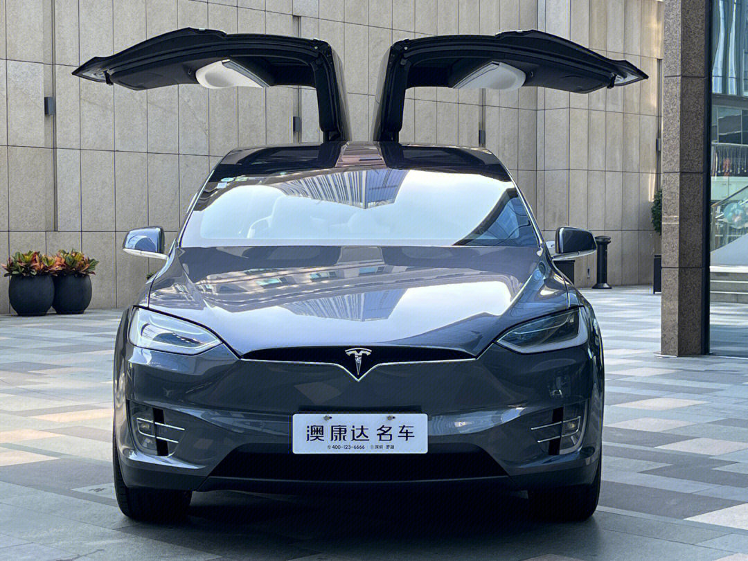 特斯拉model x 100d/17款/长续航版 7座