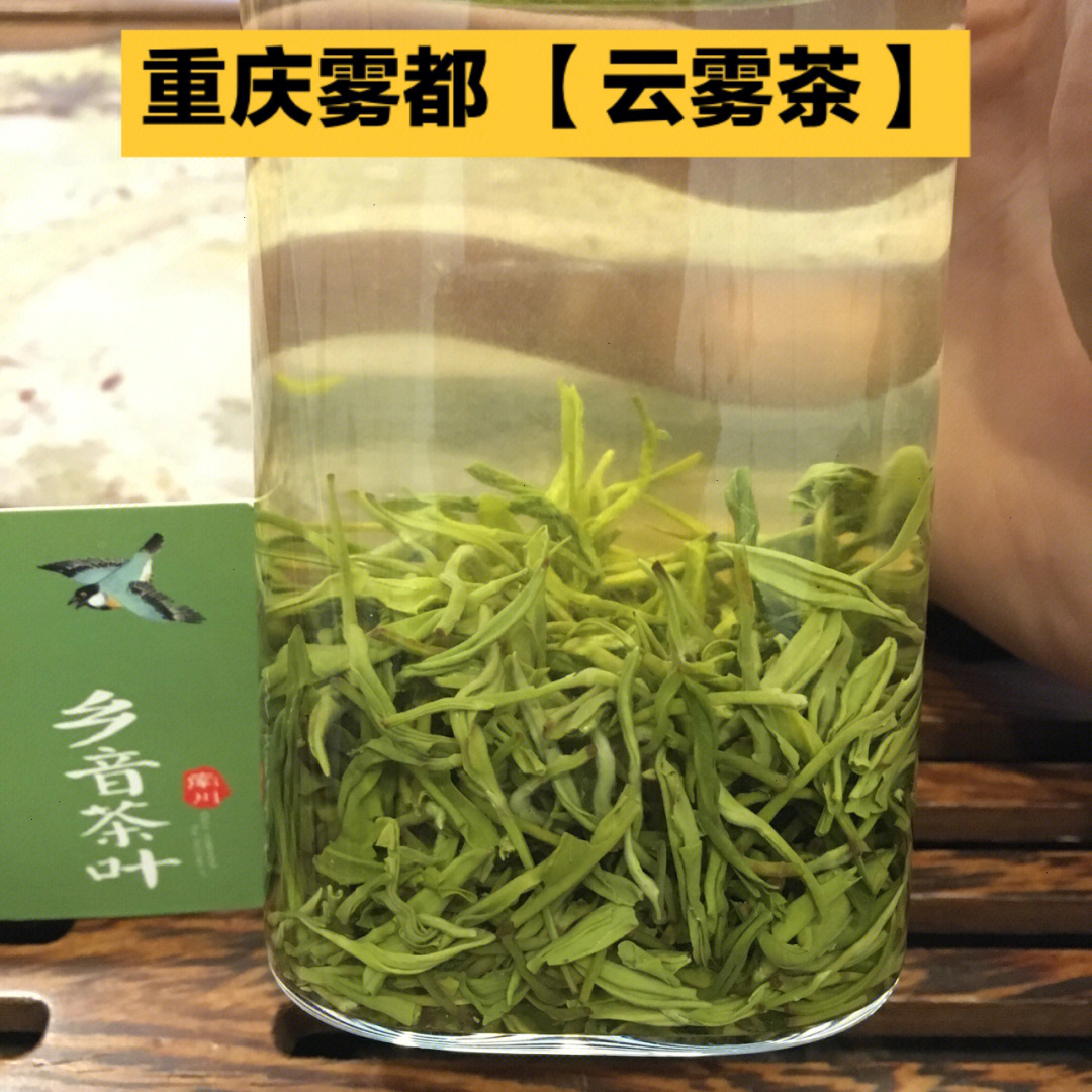 重庆雾都的云雾茶