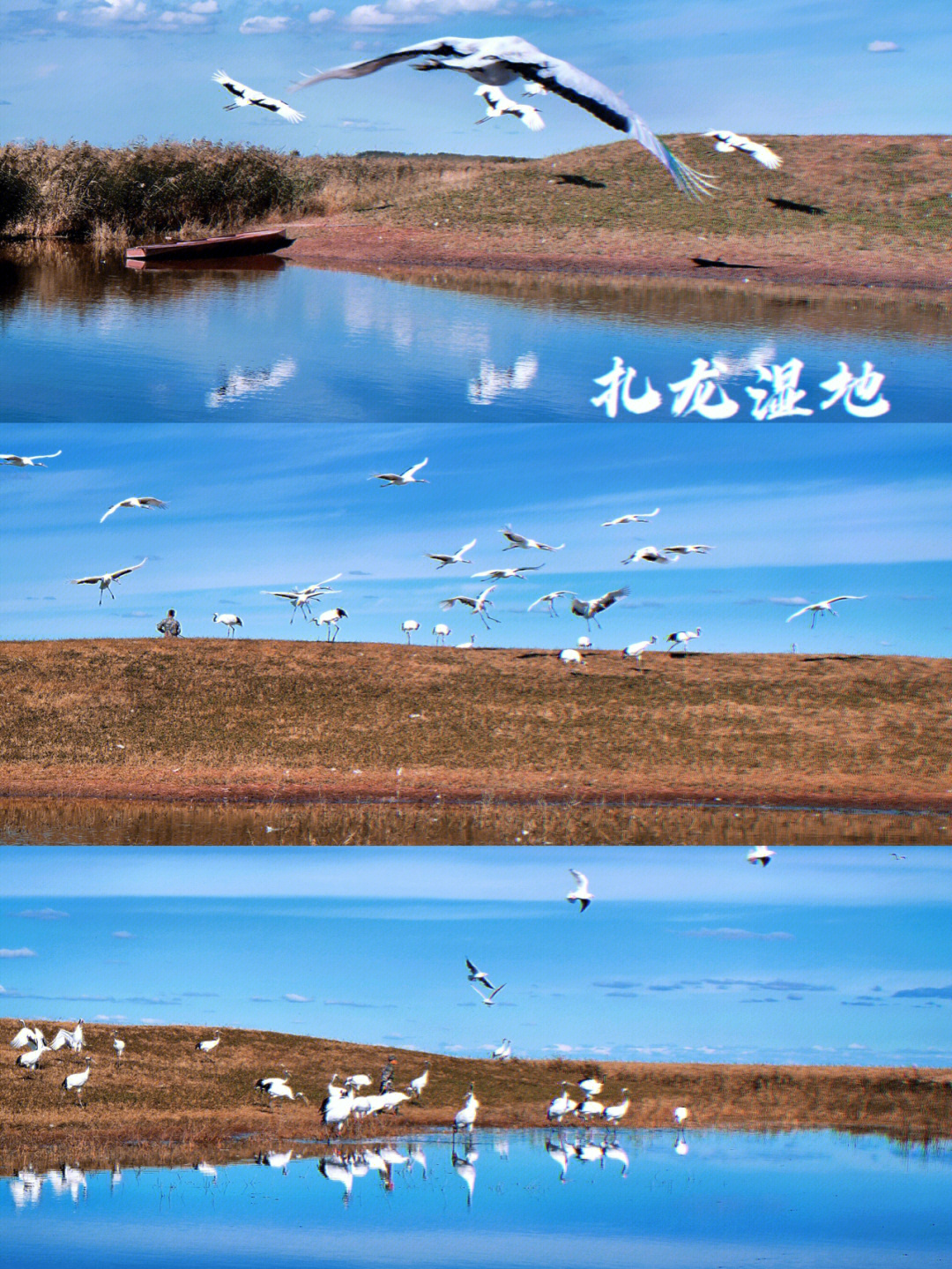 齐齐哈尔丹顶鹤扎龙湿地自然保护区