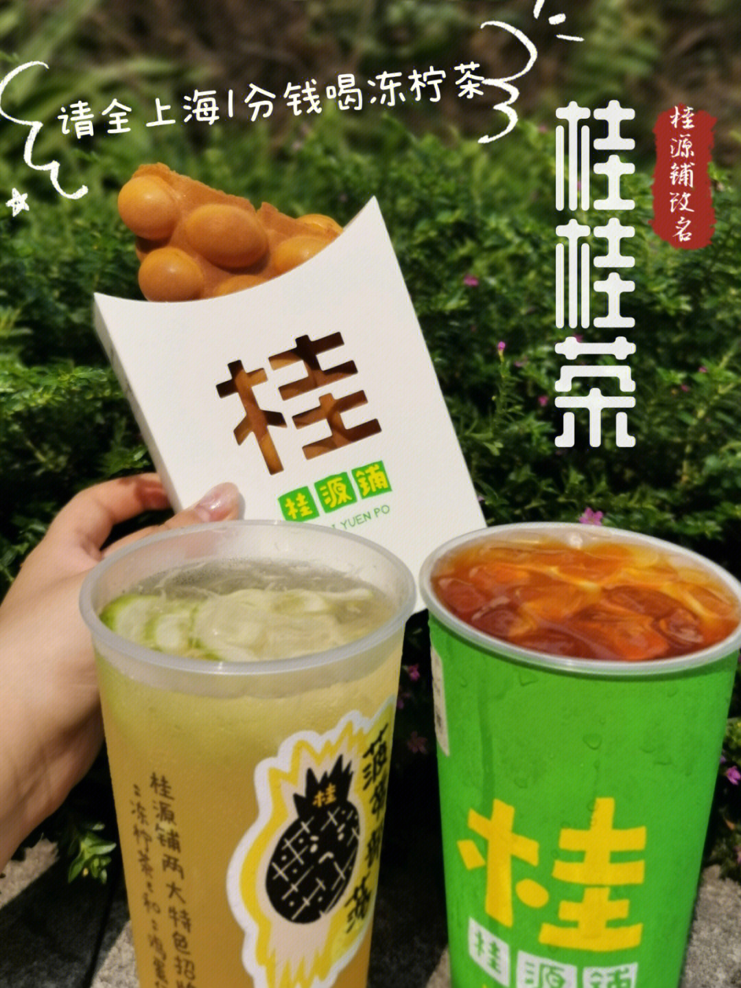 桂源铺奶茶价格图片