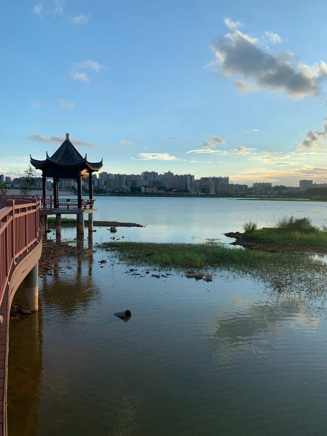 雷州西湖水库鱼吃人图片