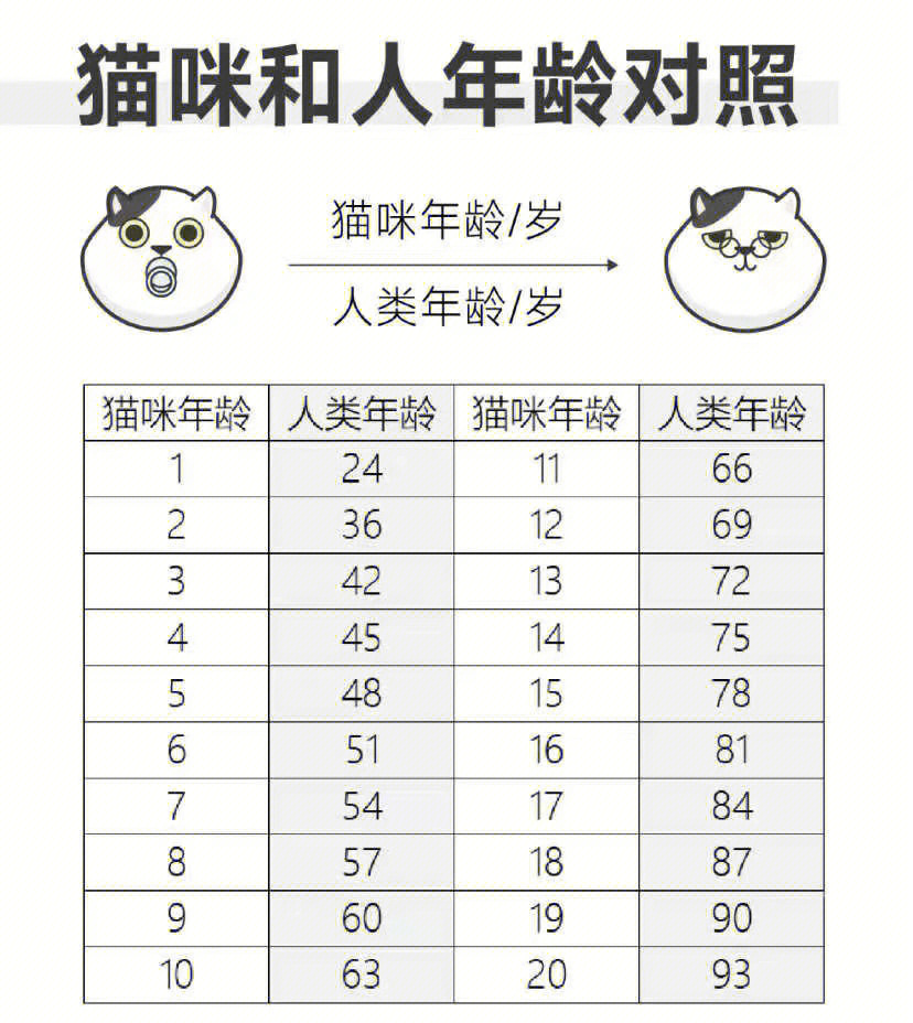 猫咪体重年龄对照表图图片