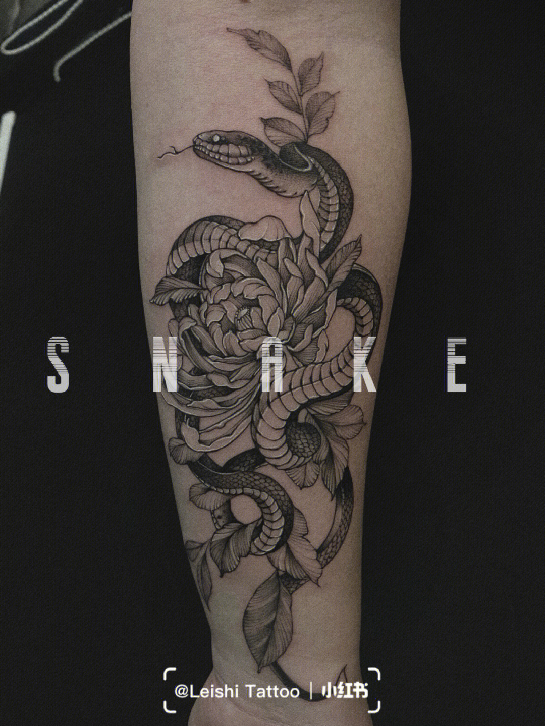蛇戏牡丹纹身寓意图片
