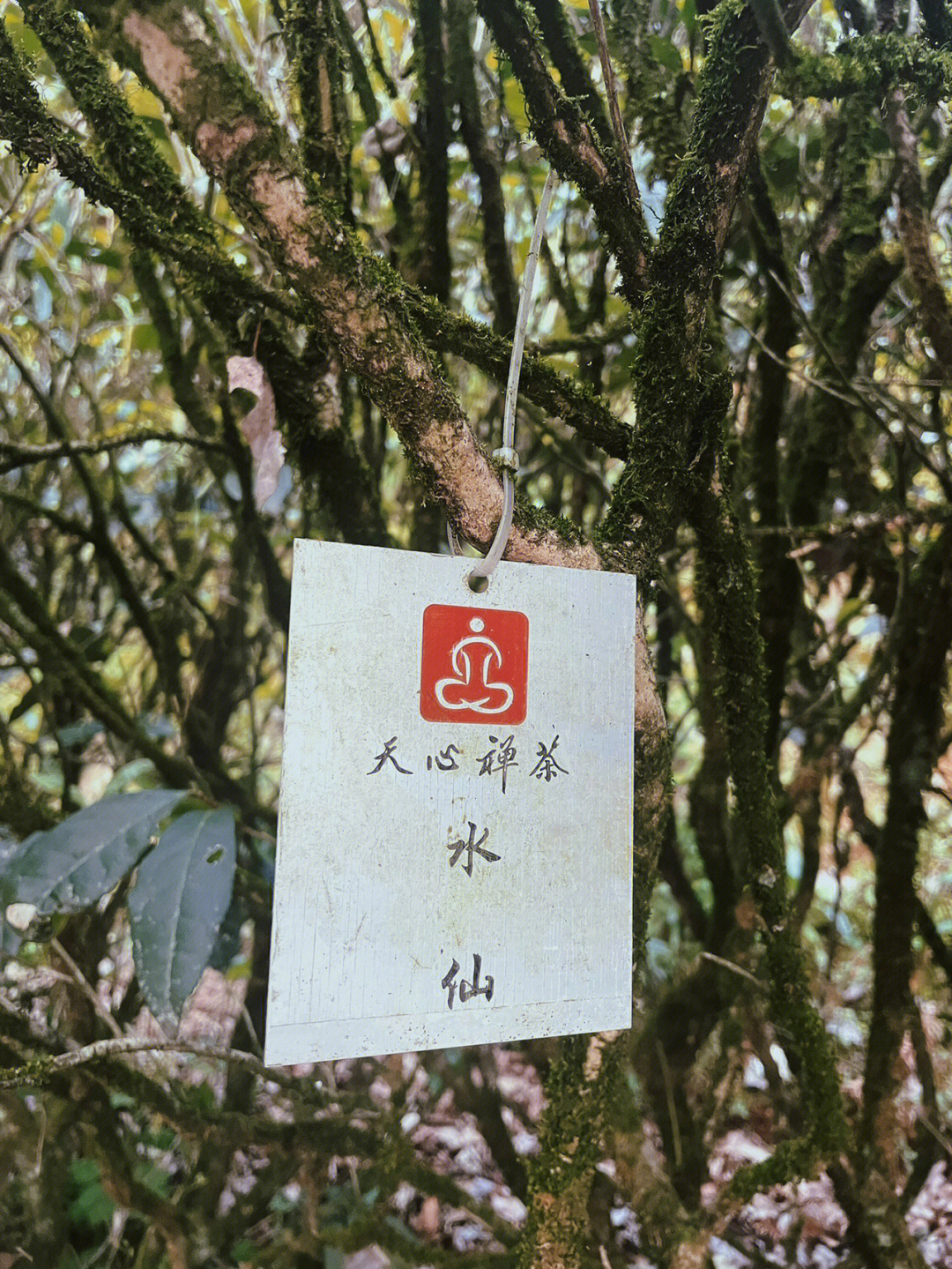 天心永乐禅寺住宿收费图片