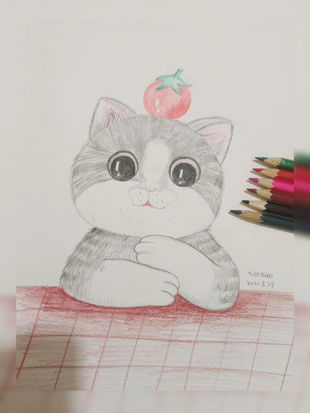 彩铅画猫咪彩铅绘画