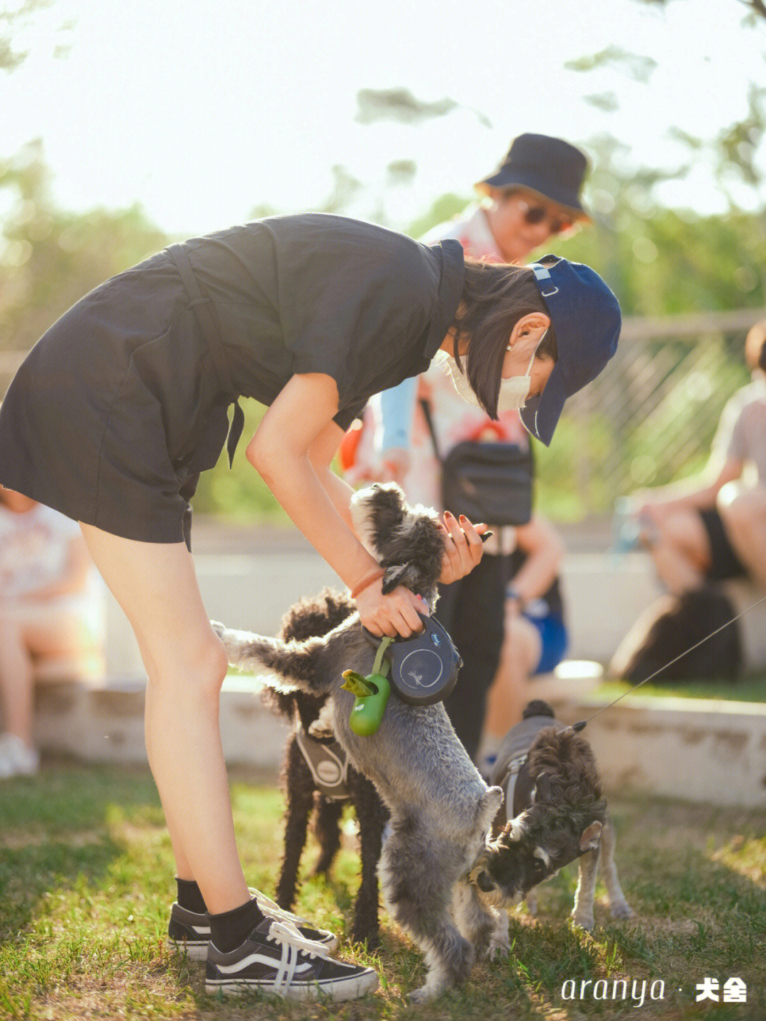 犬舍酒店带来的第 4 场「宠物夏日草地派对」也圆满结束啦