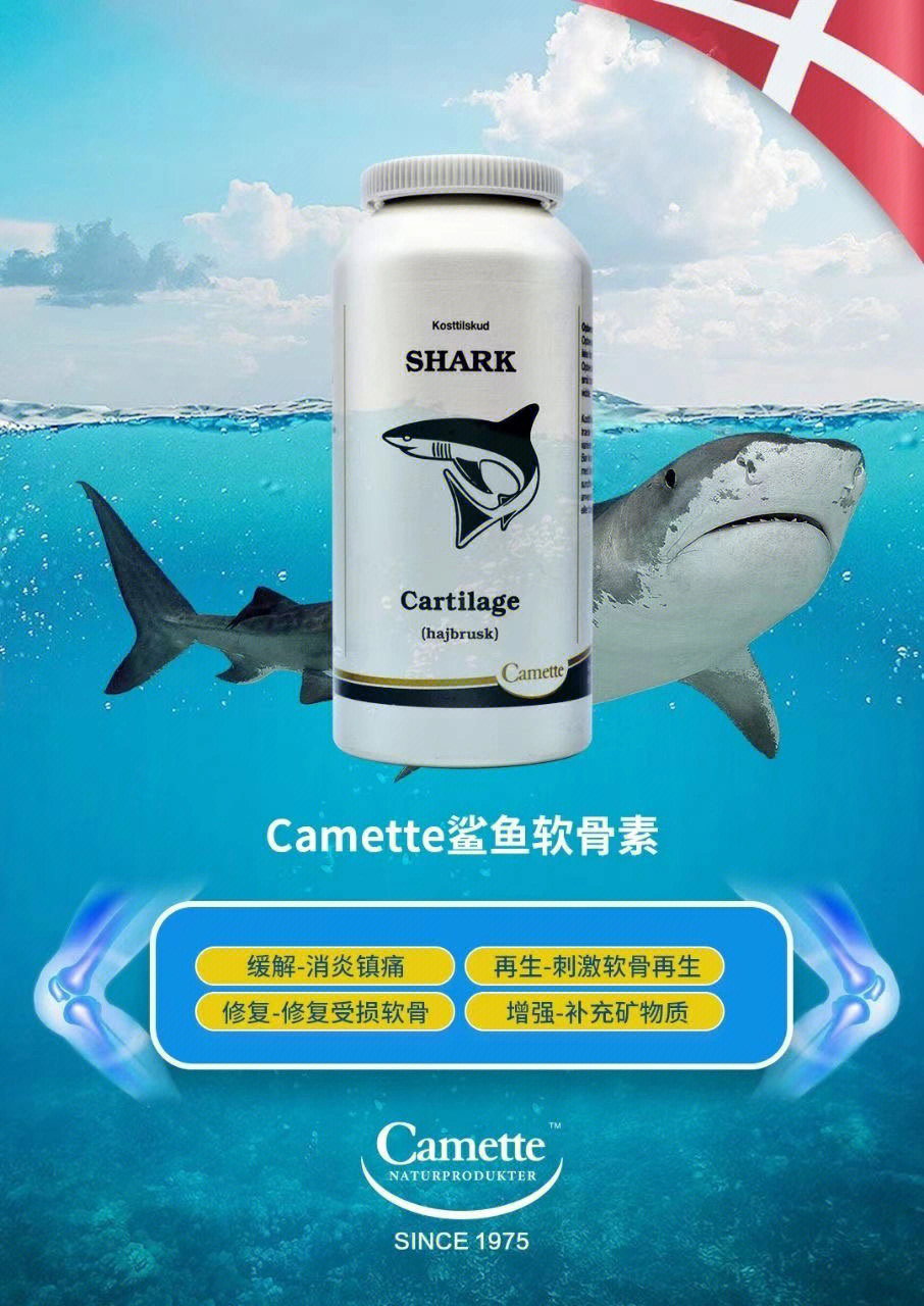 camette鲨鱼软骨素 100%纯鲨鱼软骨粉