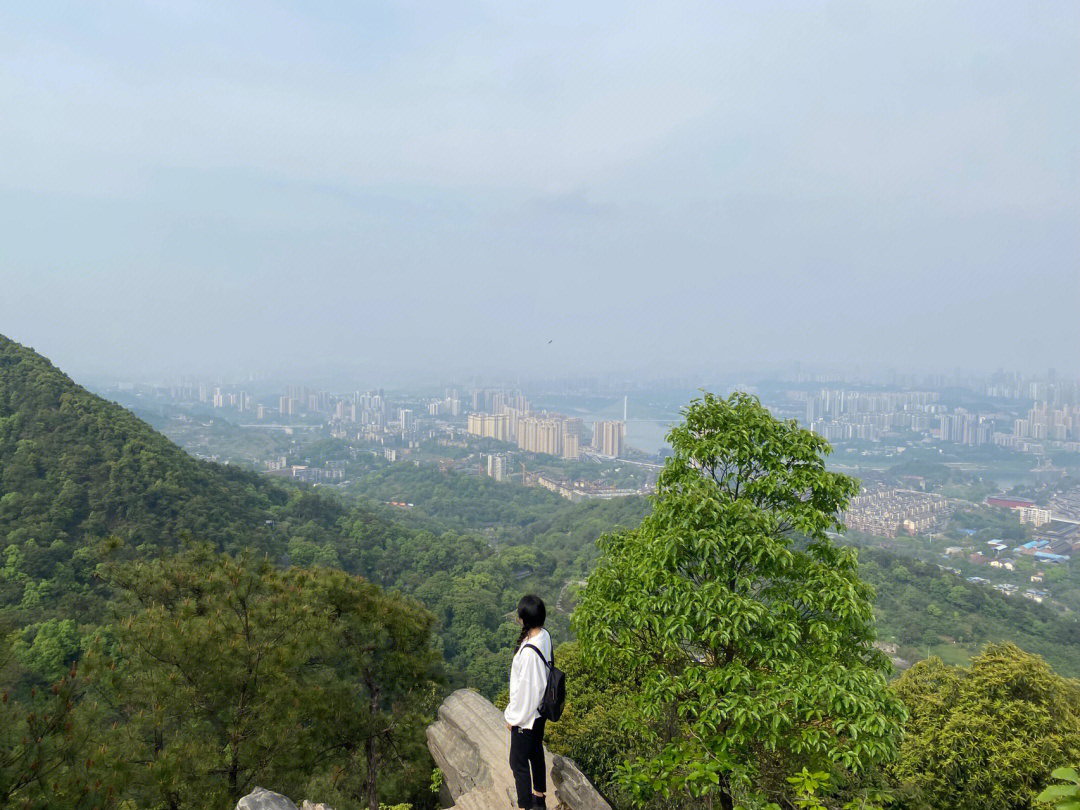 歌乐山海拔图片