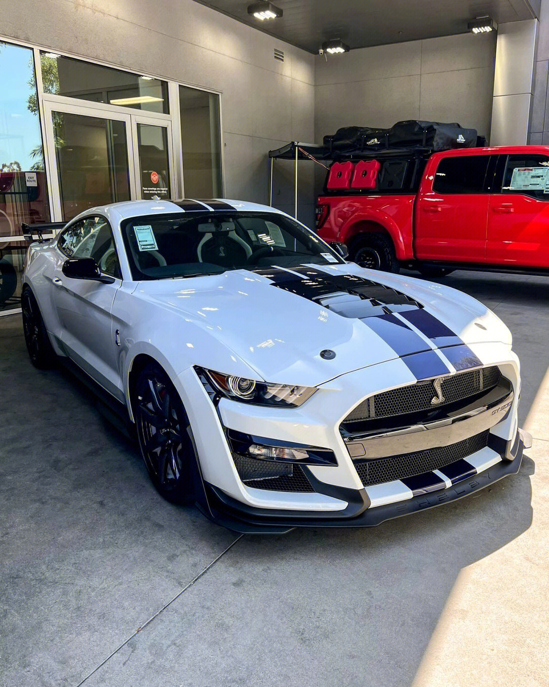 野马谢尔比shelbygt500