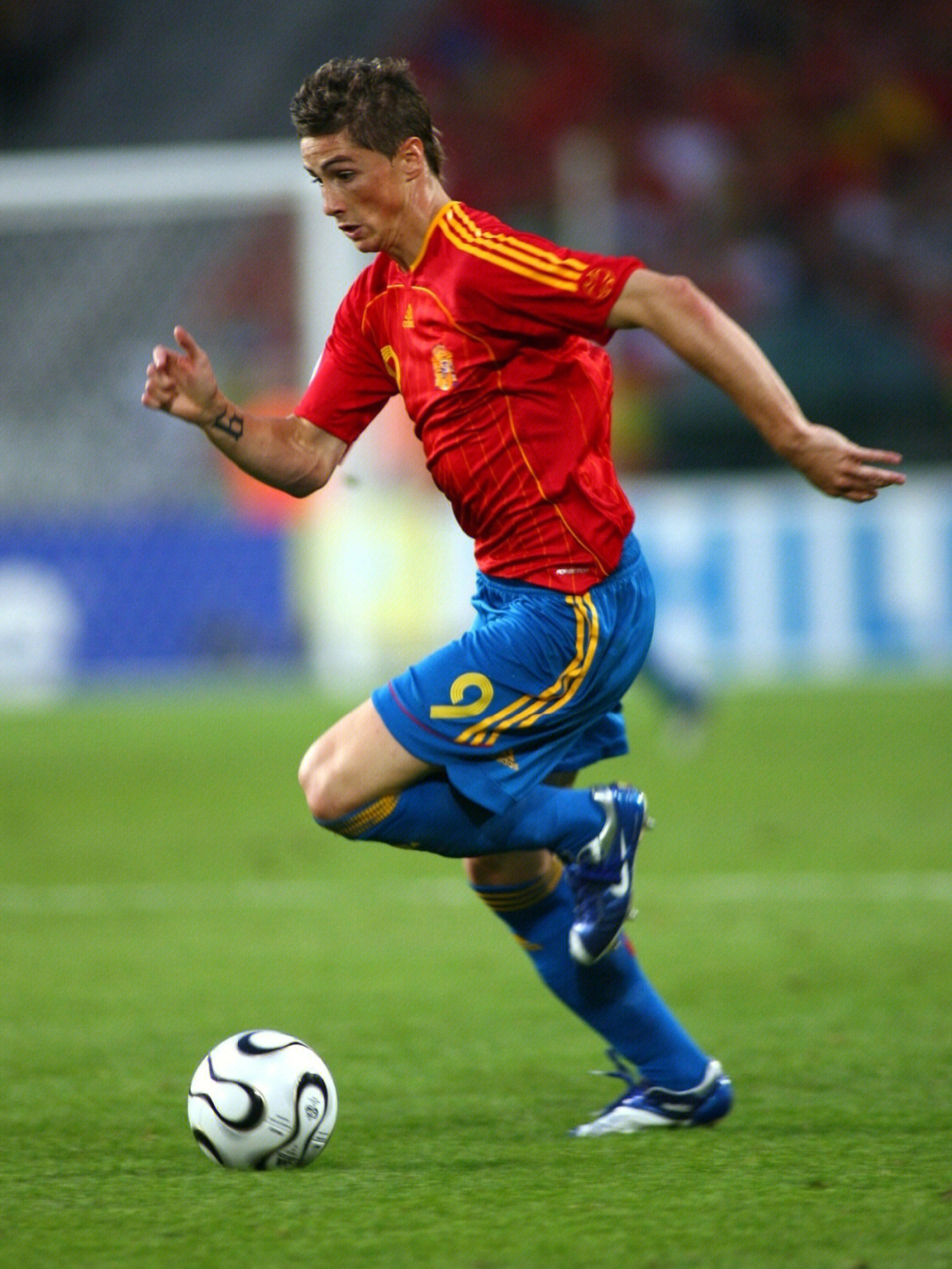 2006世界杯彩绘德国图片
