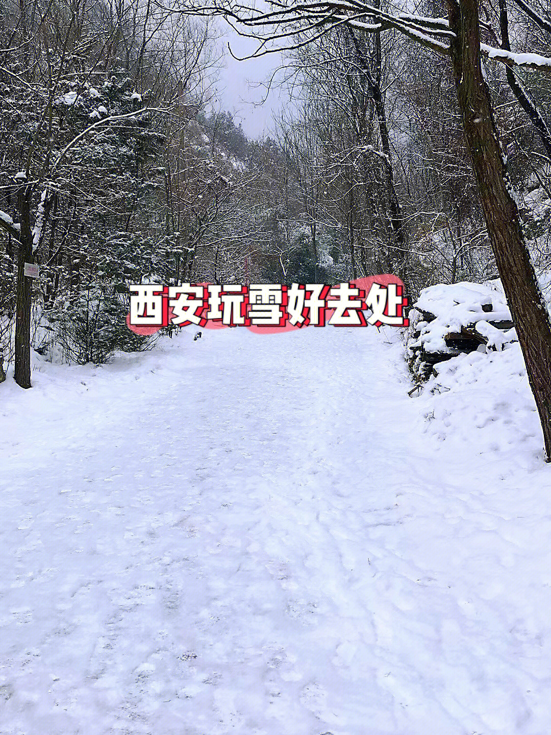 西岔沟雪景图片