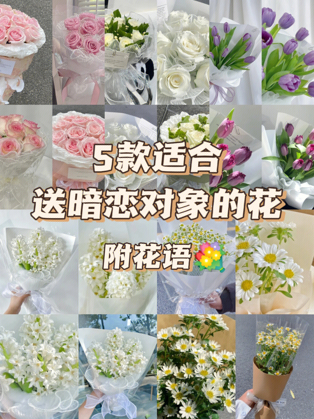 男女分别适合送什么花图片