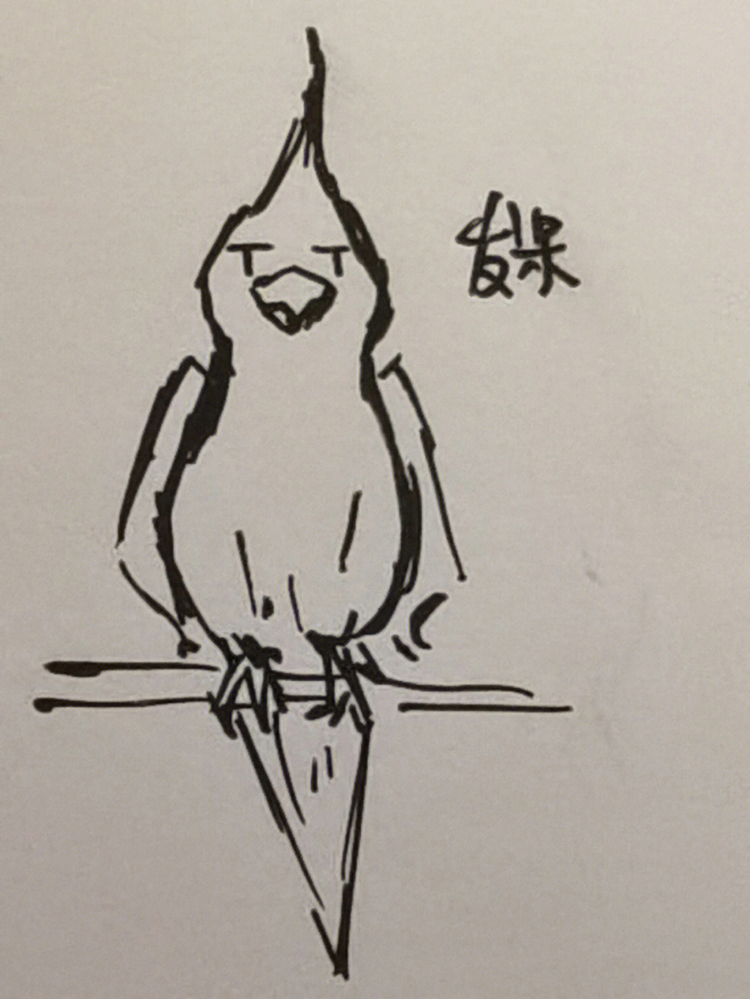 玄凤鹦鹉画 铅笔画图片