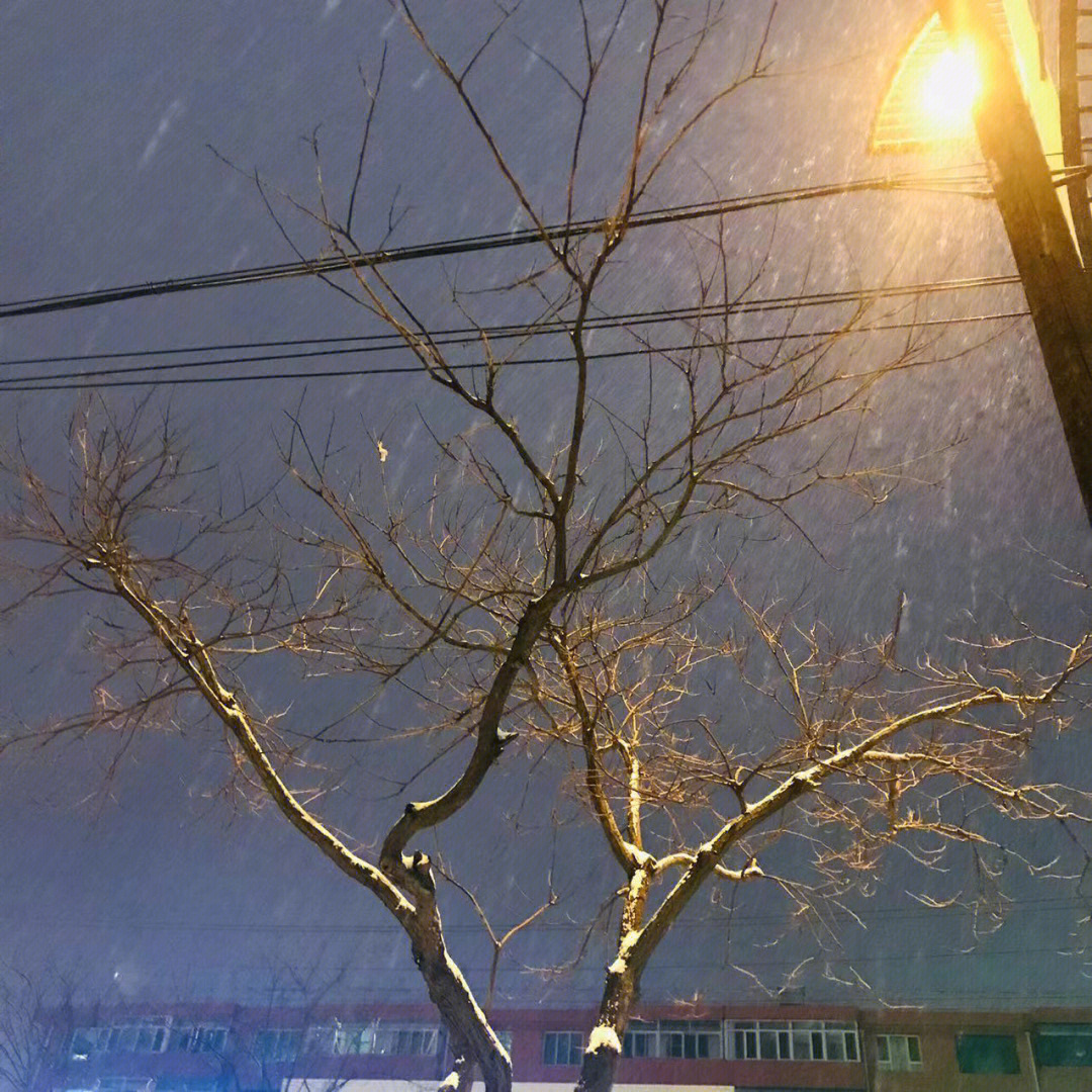 街灯下的雪景