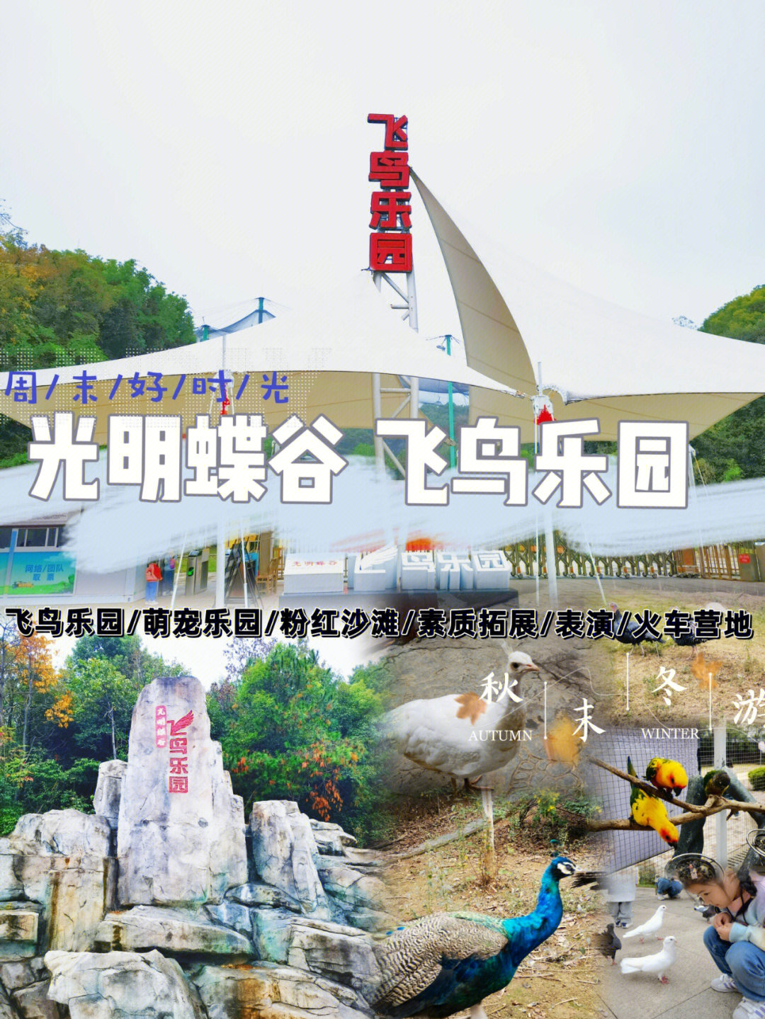 户外遛娃光明蝶谷飞鸟乐园游玩建议