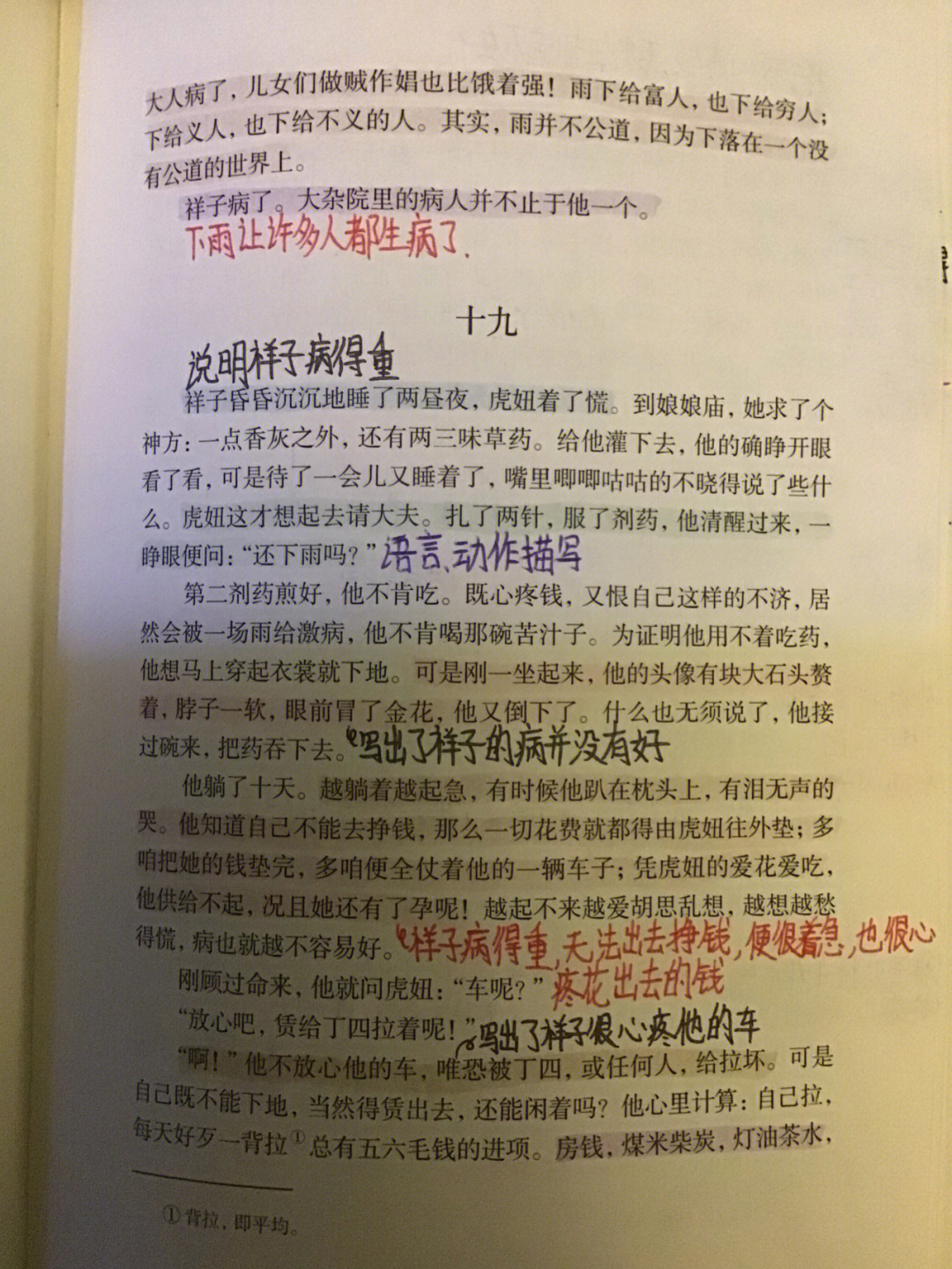 骆驼祥子批注第十九章