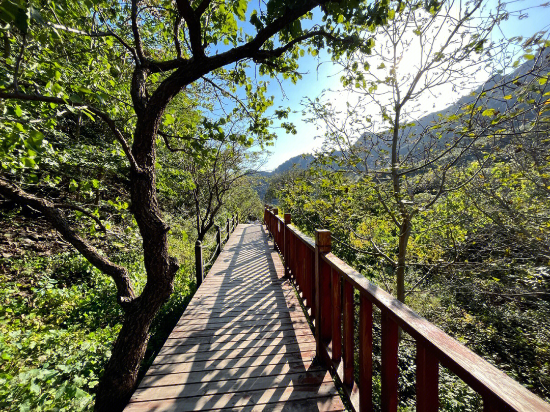 梨木台风景区图片