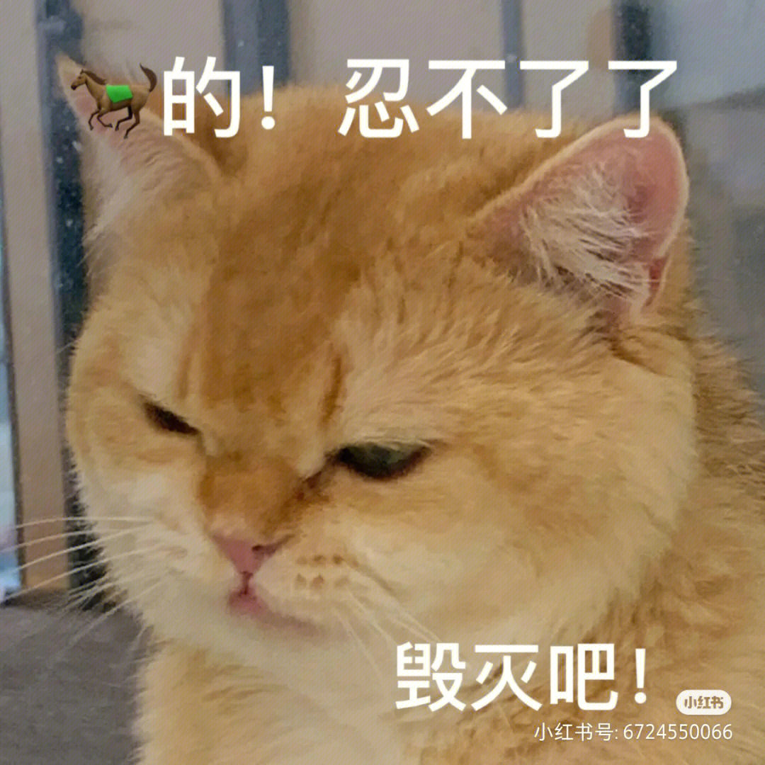 毁灭吧猫咪表情包图片