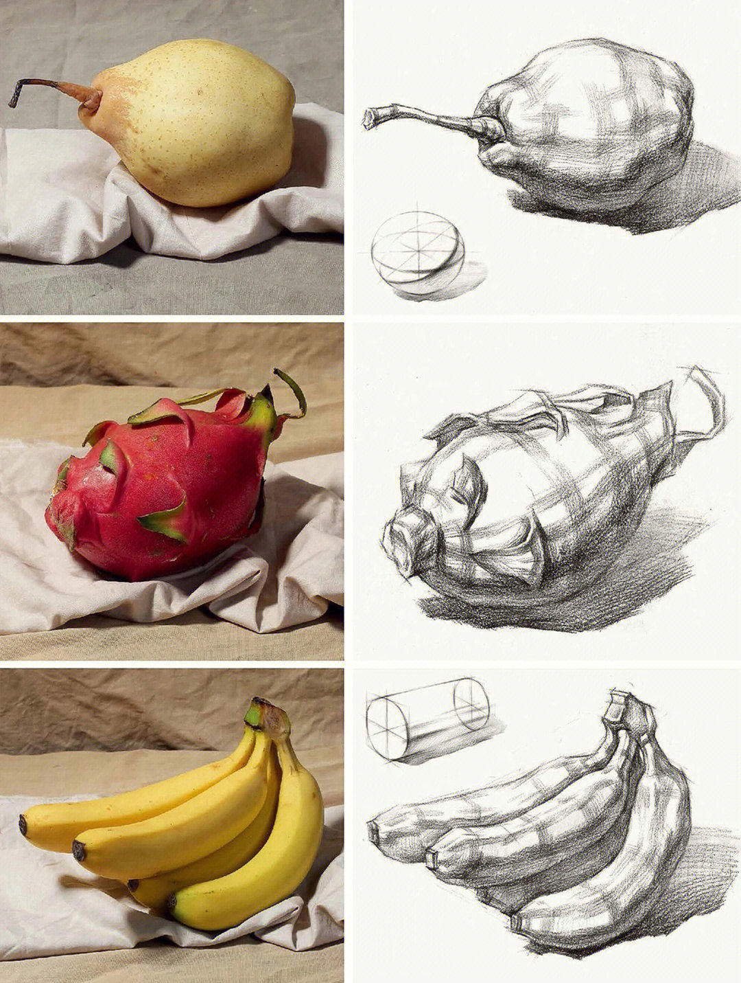 水果解剖图设计素描图片