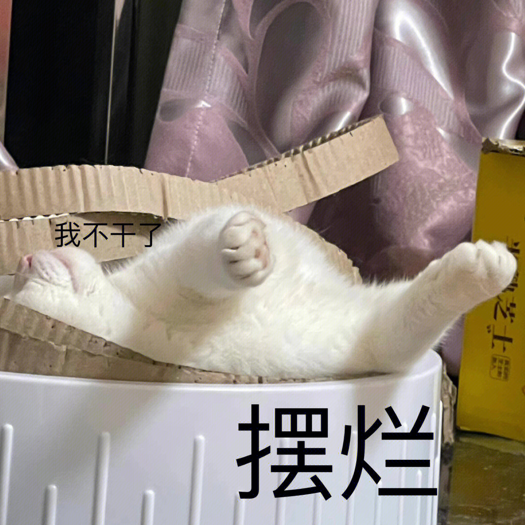 猪穿渔网表情包图片