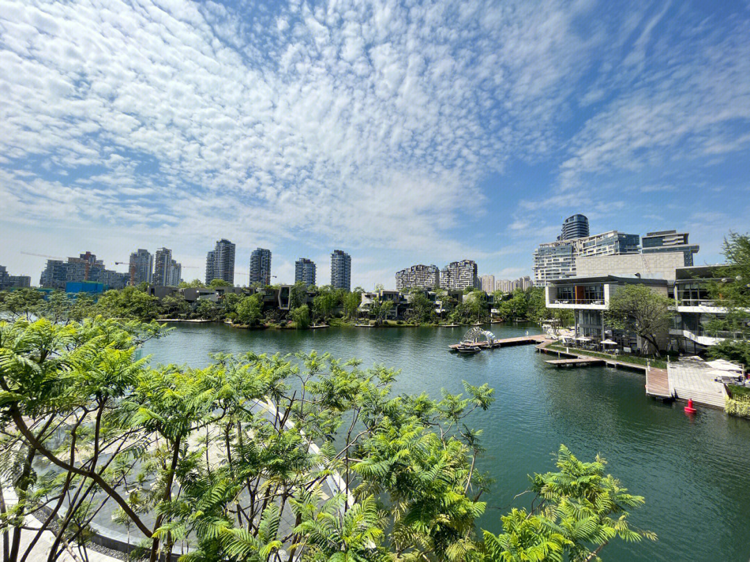 成都中洲锦城湖岸三期图片