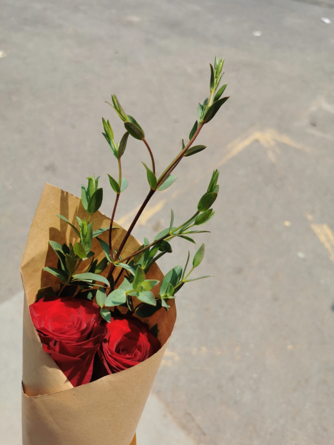 是细叶尤加利与红丝绒玫瑰的绝妙搭配