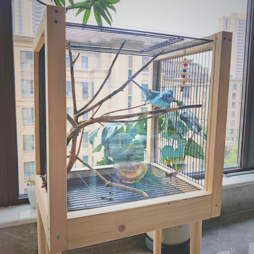 家里阳台自制的鸟笼图片
