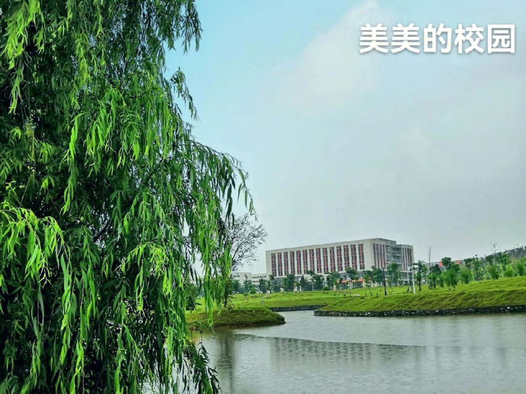 黄金花 江西财经大学图片