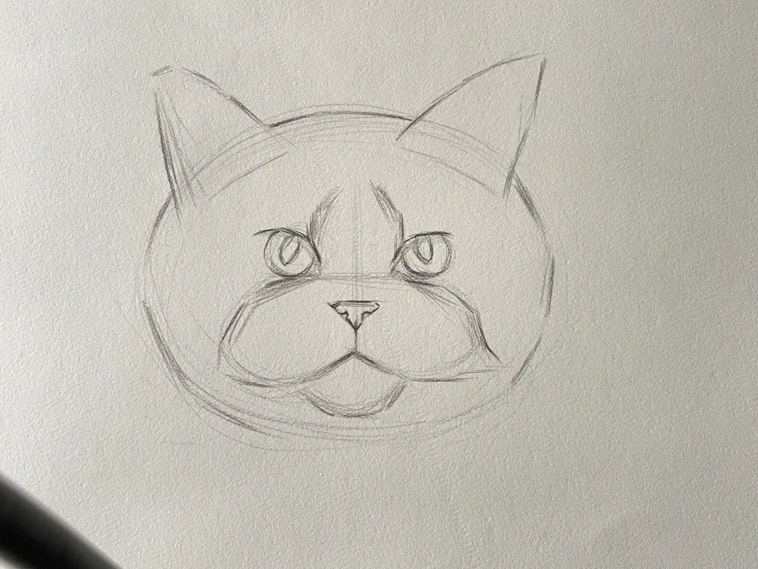 画了一只小猫咪