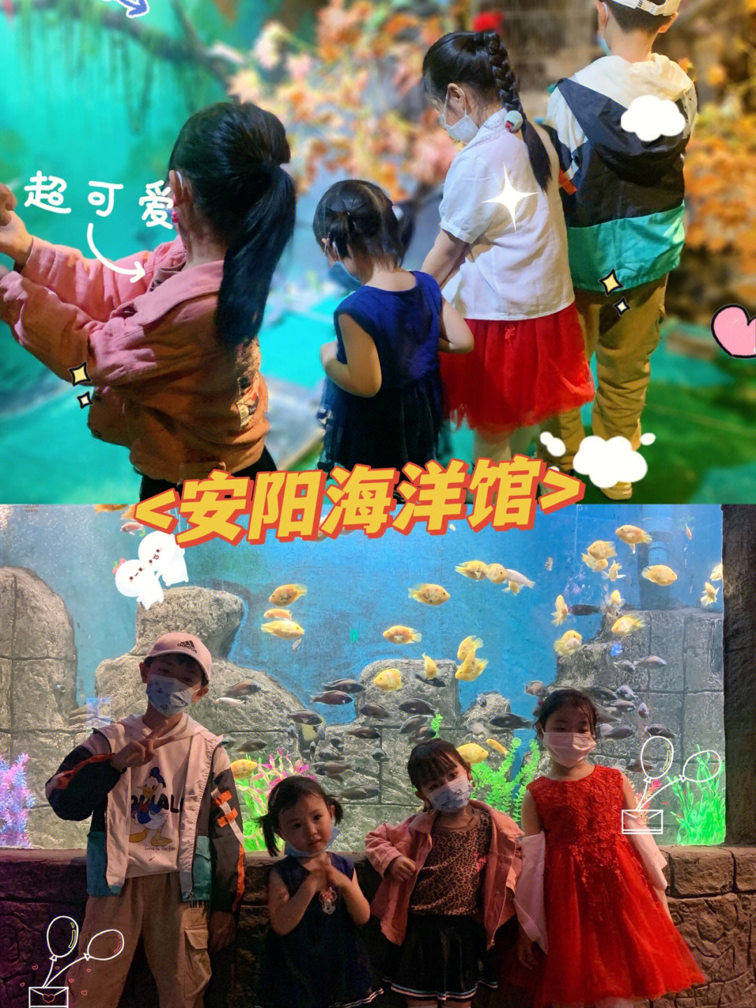 安阳海洋馆在这里发现一只想飞出去的小鸟