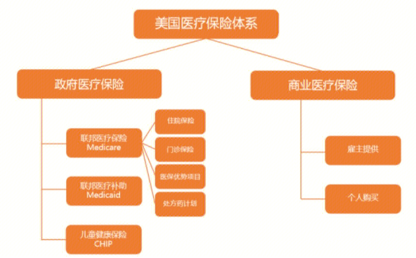 美国医保体系主要术语和个人常买参考