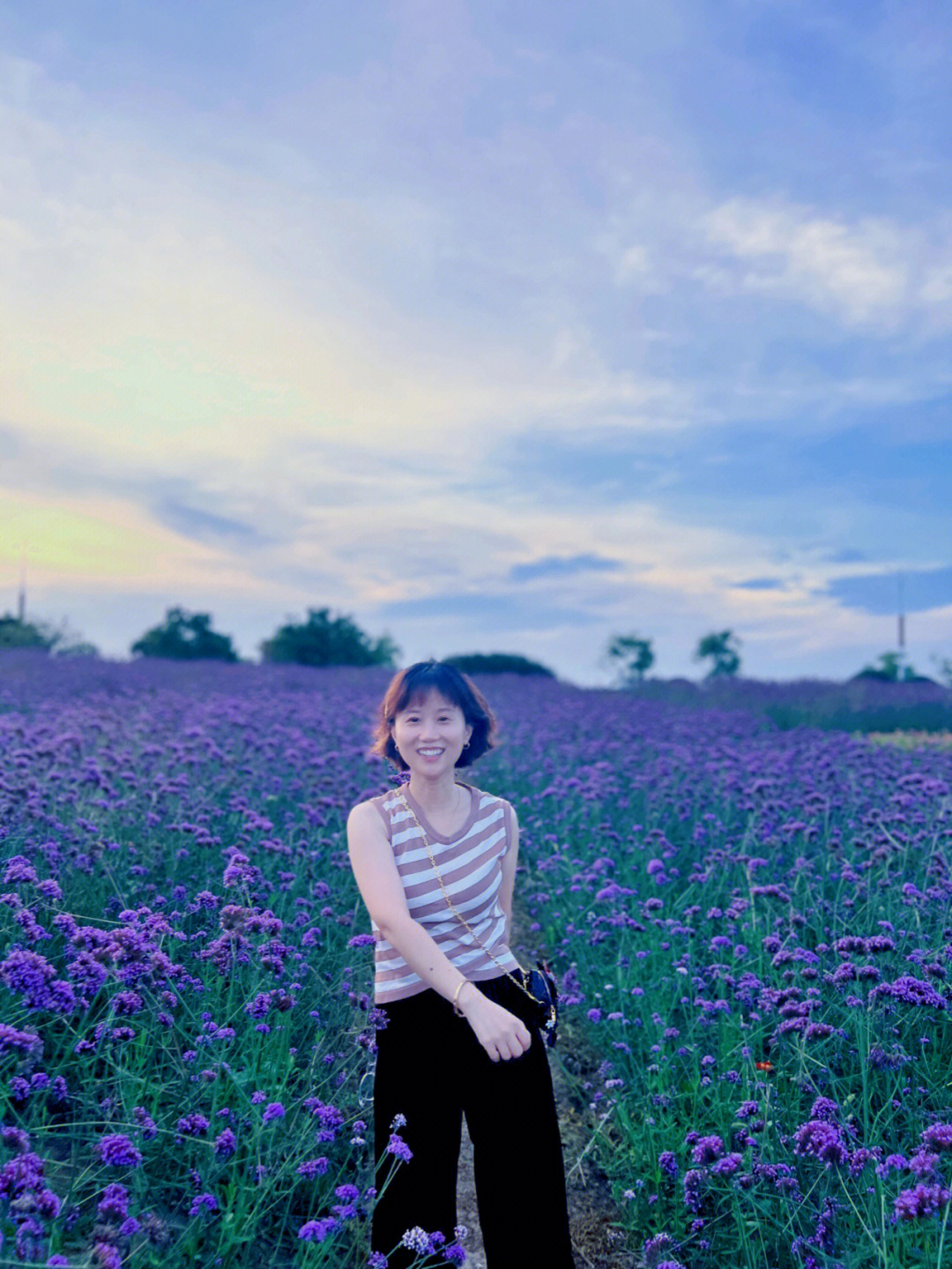 太湖西京湾花海