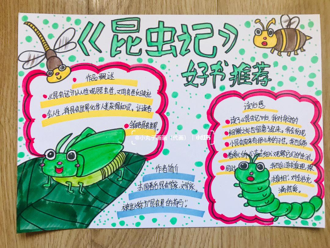 昆虫记手抄报中学生图片