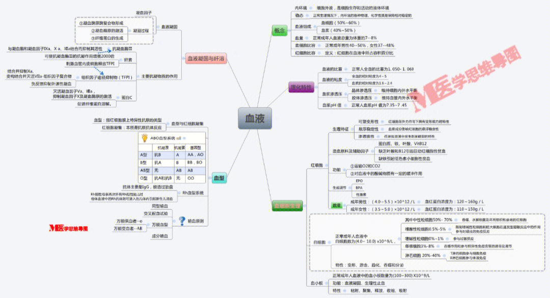 生理学思维导图第一章图片