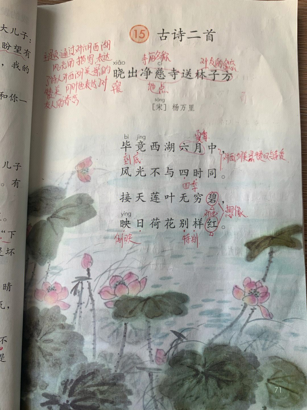 晓出净慈寺课文图片