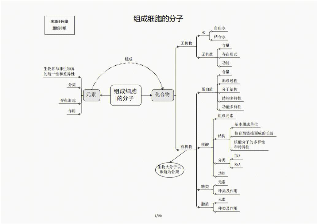 生物必修一的概念图