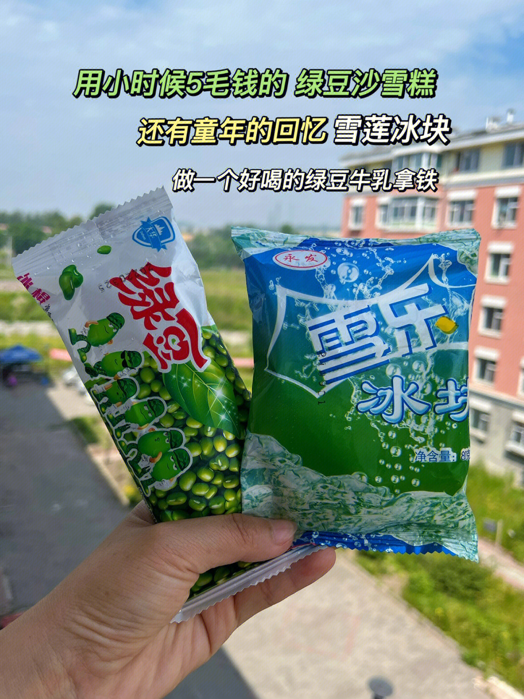 用五毛钱的雪莲冰块和绿豆雪糕做个夏日饮品