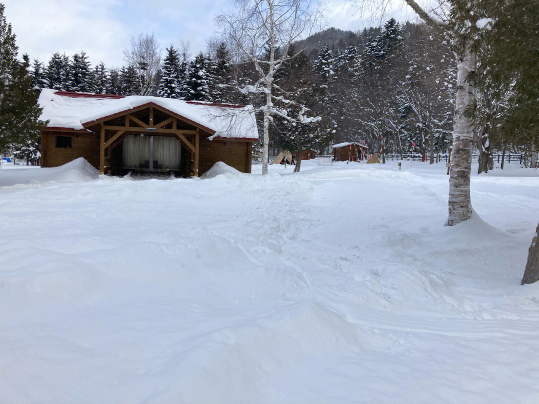 北海道的雪