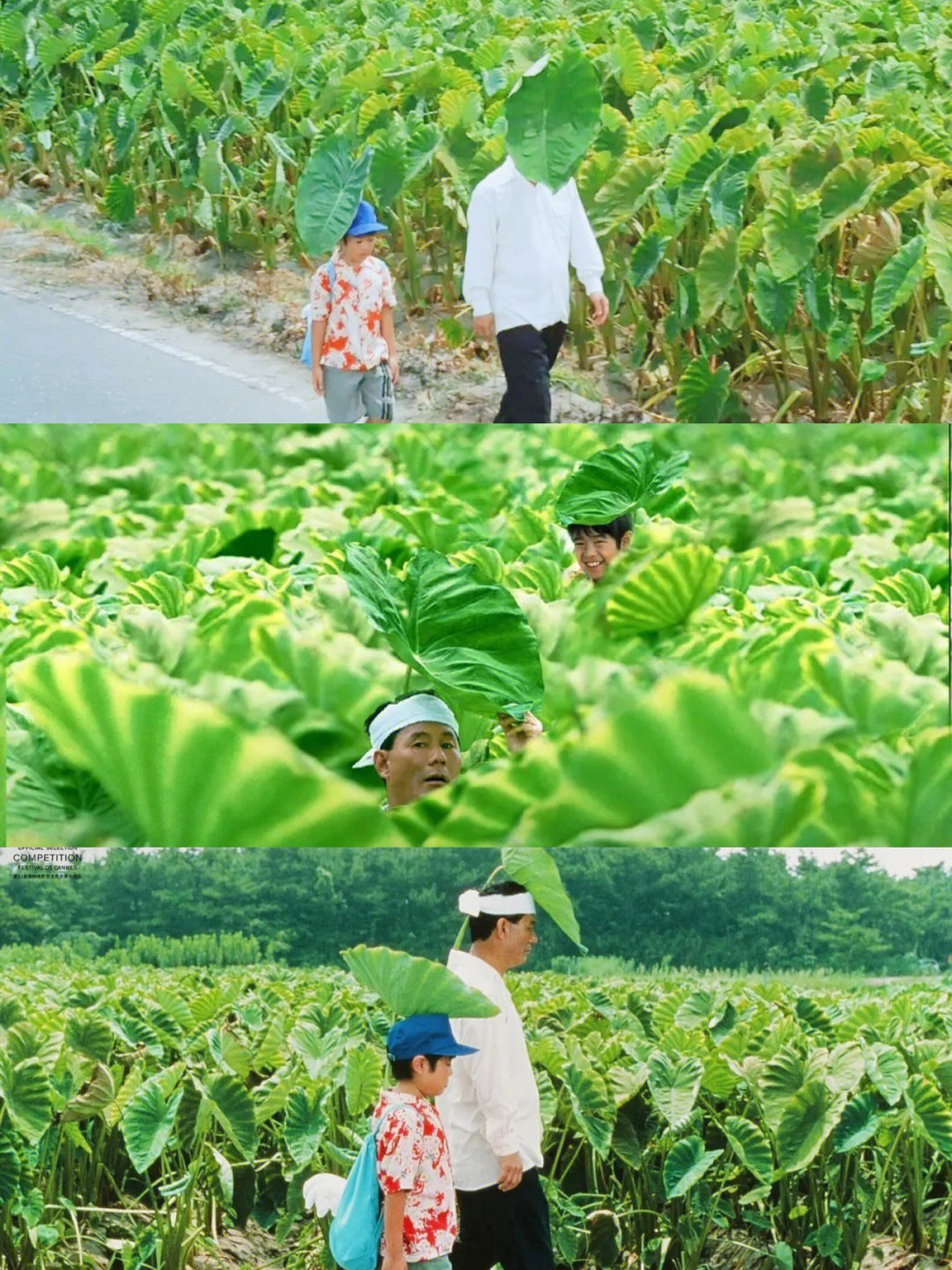 菊次郎的夏天电影截图图片