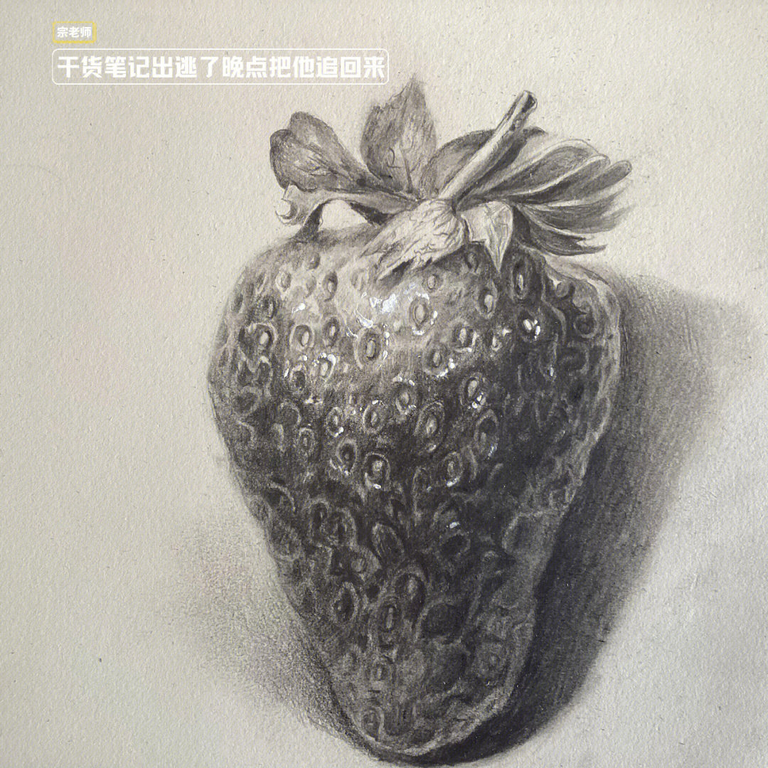 草莓素描画 静物图片