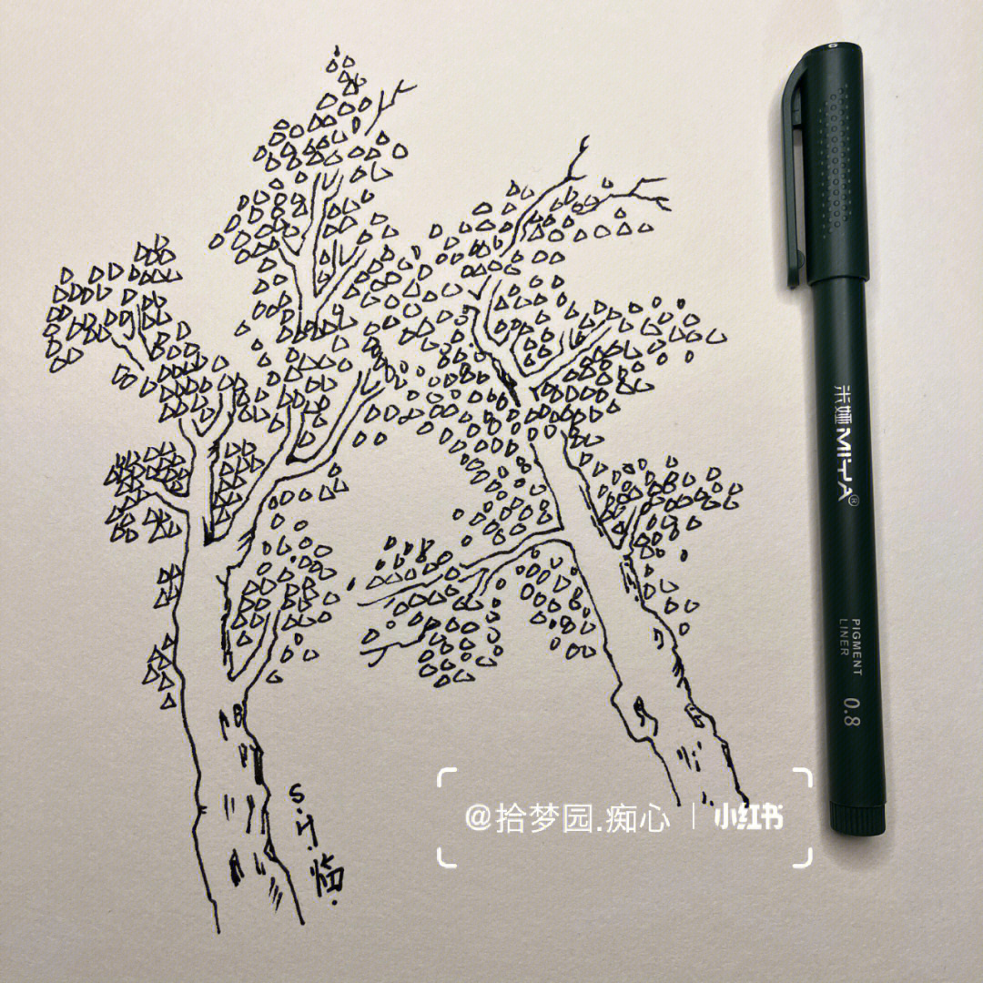 树叶素描简单图片