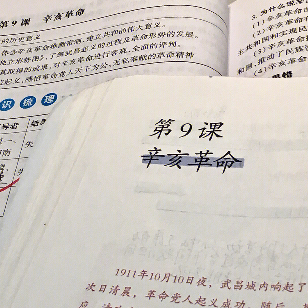 "辛亥革命永远是中华民族伟大复兴征程上一座巍然屹立的里程碑!