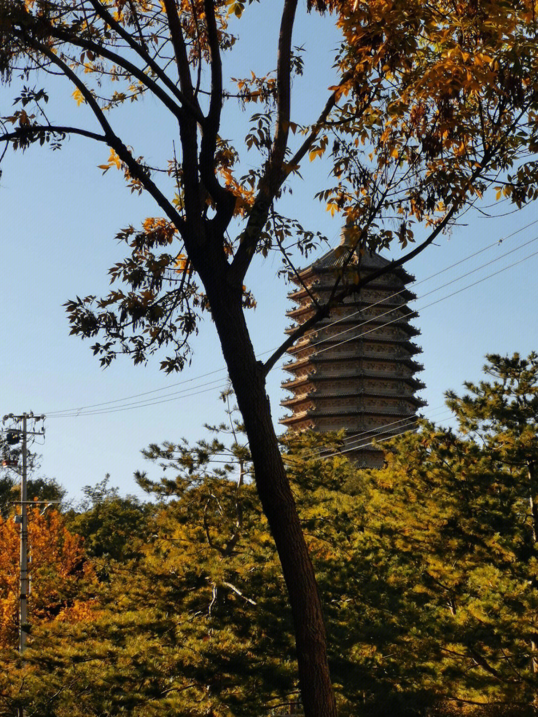 打卡藏在北京城里的寺庙五慈寿玲珑塔