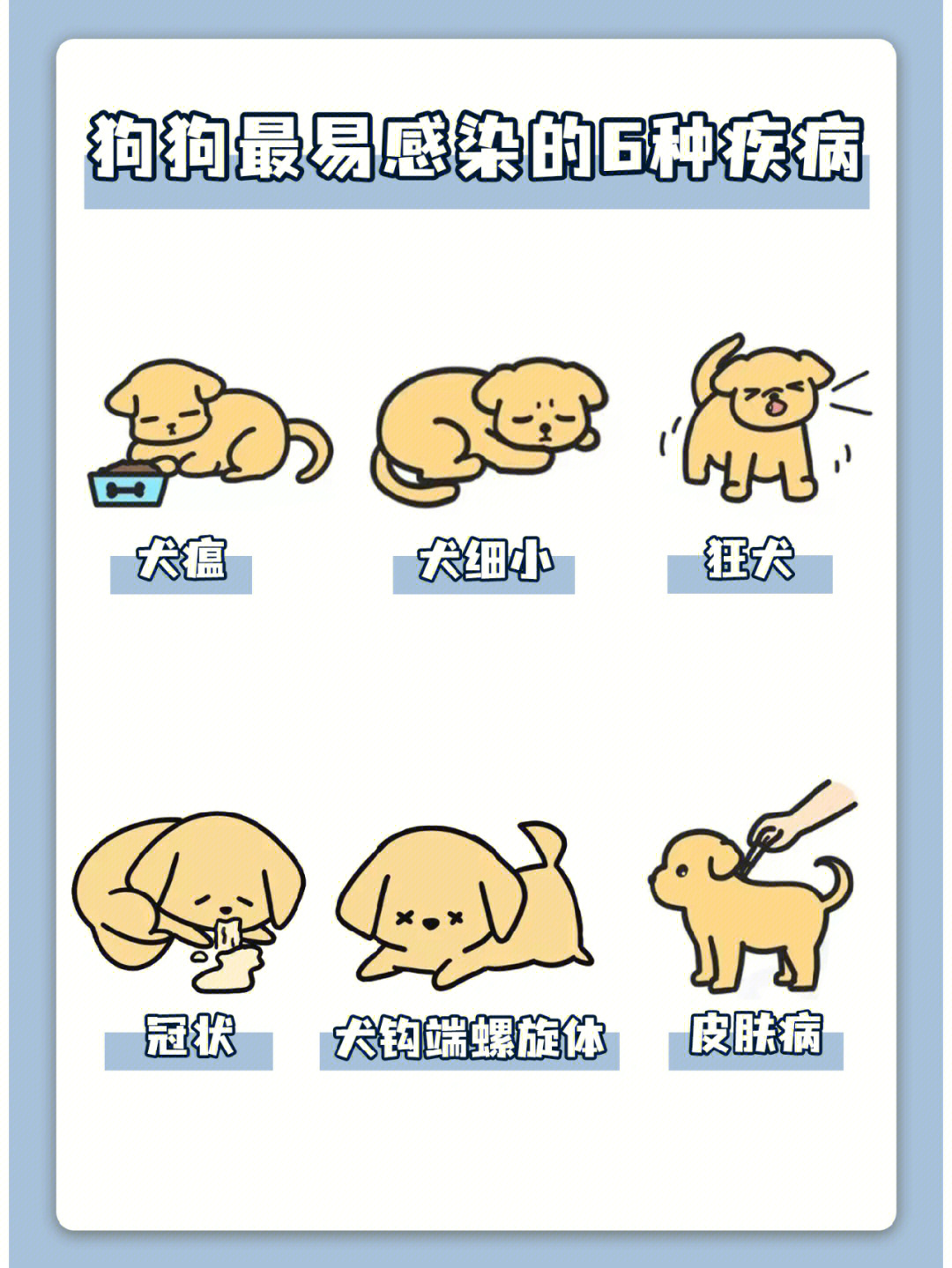 犬瘟热的处方图片