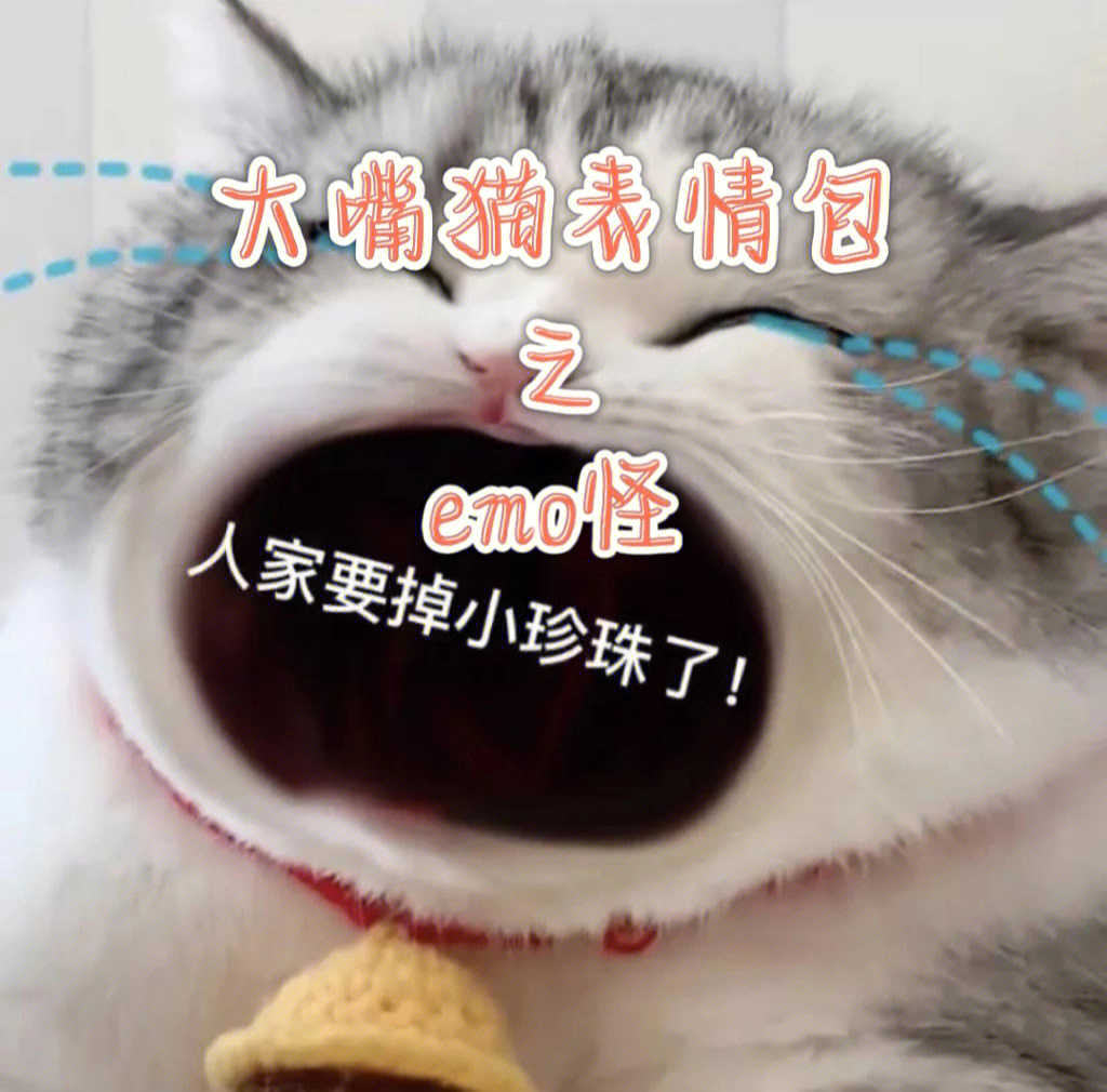 大嘴猫表情包