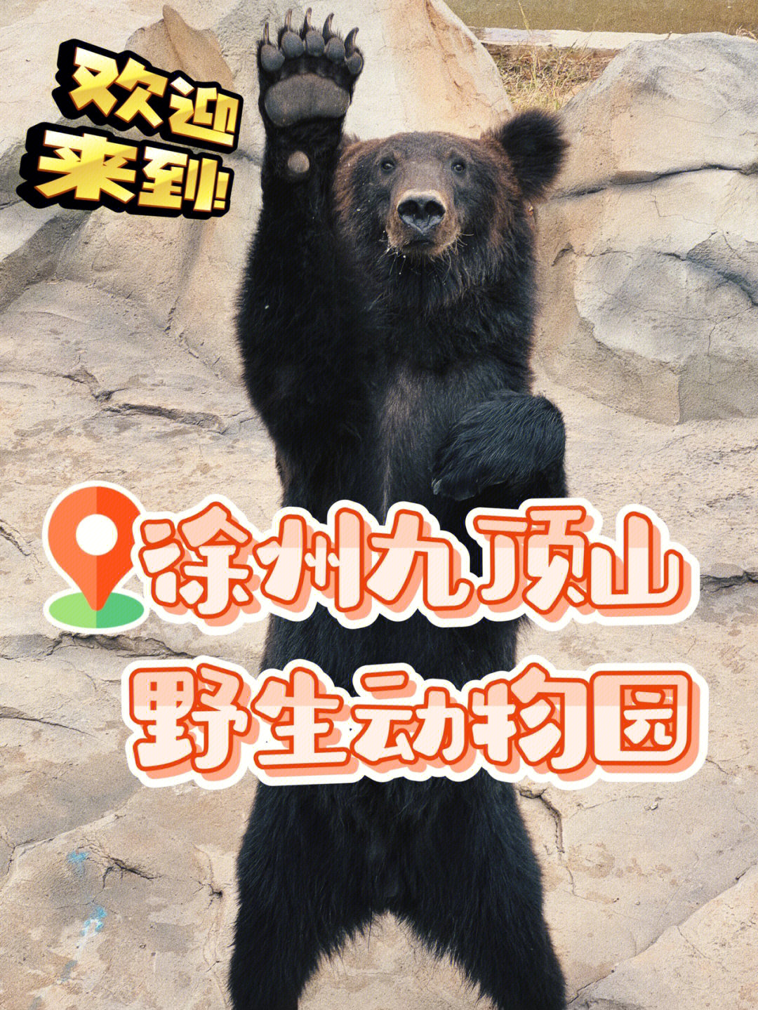 徐州动物园布局图图片