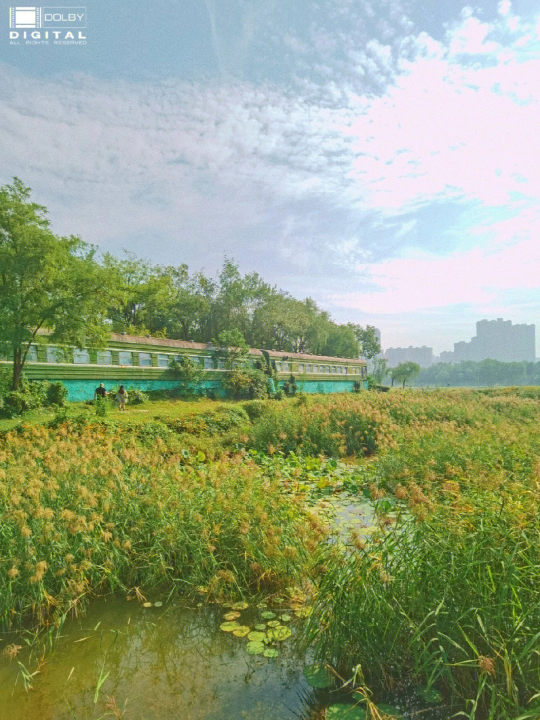 西安桃花潭中学生图片图片