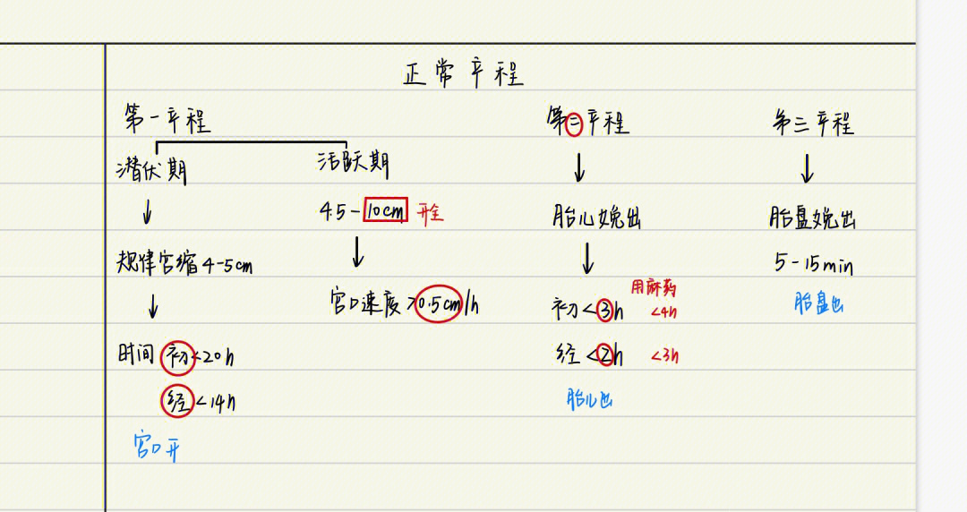 导乐陪伴分娩流程图图片